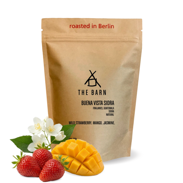 Specialty coffee The Barn Guatemala BUENA VISTA - sidra - 200 g
