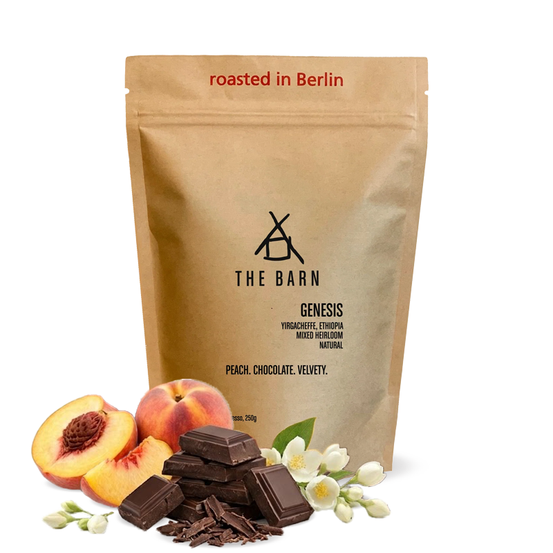 Specialty coffee The Barn Ethiopia GENESIS