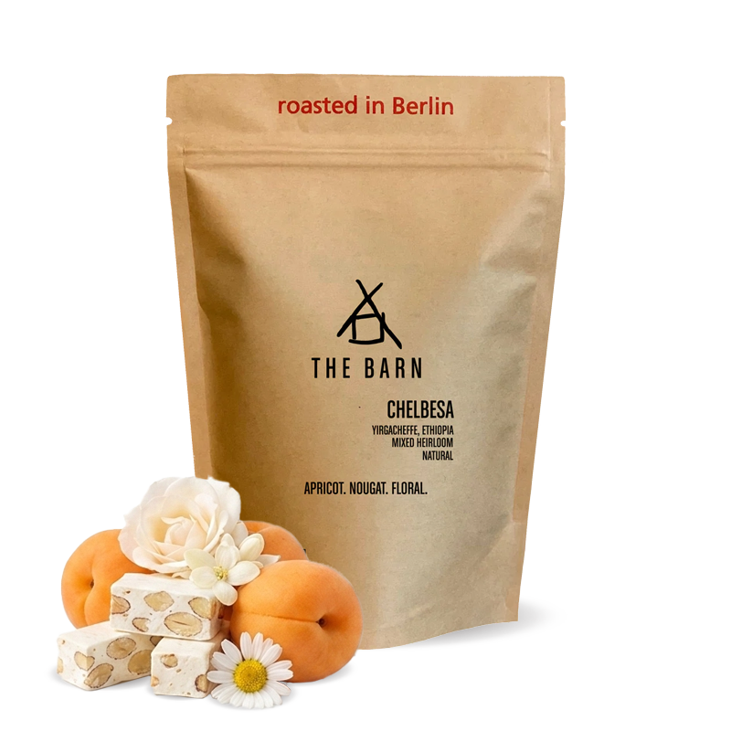 Specialty coffee The Barn Ethiopia CHELBESA