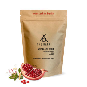 Costa Rica VOLCAN AZUL GESHA - 200g - The Barn