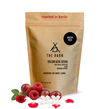 Costa Rica VOLCAN AZUL GESHA - 200g - The Barn