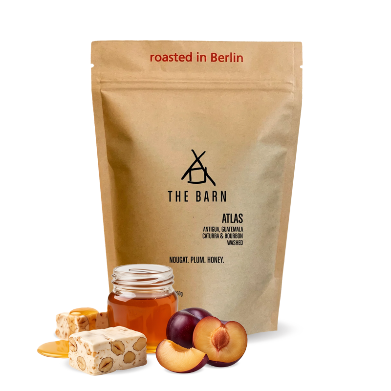Specialty coffee The Barn Guatemala ATLAS