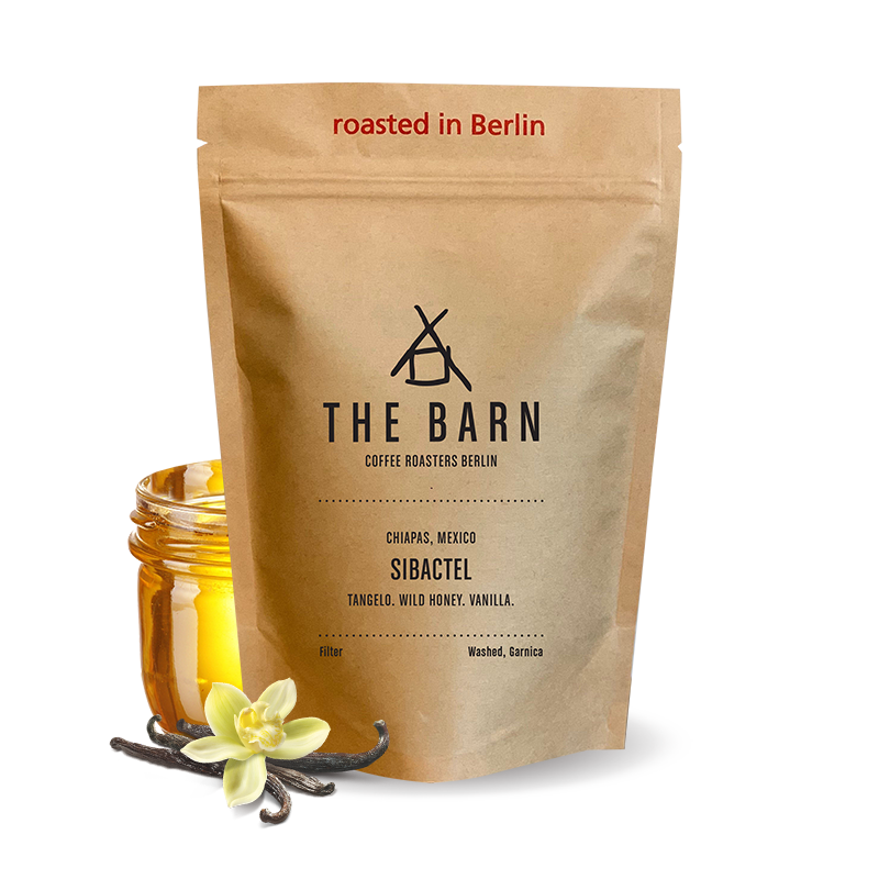 Specialty coffee The Barn Mexico SIBACTEL