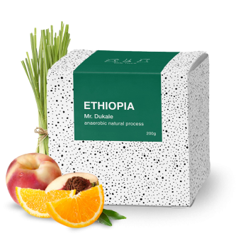 Ethiopia MR DUKALE - BeBerry