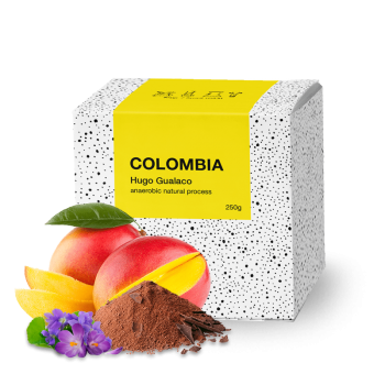 Colombia HUGO GUALACO - BeBerry