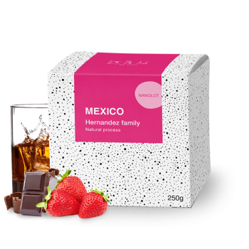Mexico HERNANDEZ FAMILY - BeBerry