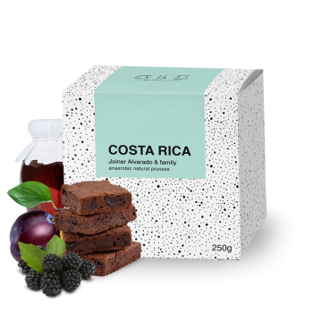 Costa Rica JOINER ALVARADO - BeBerry