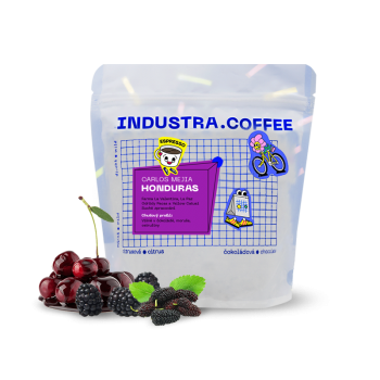 Honduras CARLOS MEJIA - Industra Coffee