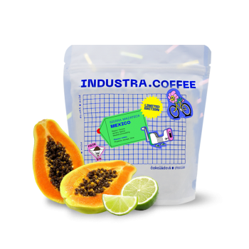 Mexico SIERRA MAZATECA - Industra Coffee