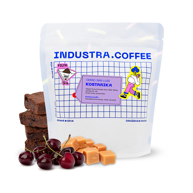 Specialty coffee Industra Coffee Costa Rica CERRO SAN LUIS