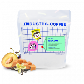 Mexico HUIPIL - Industra Coffee