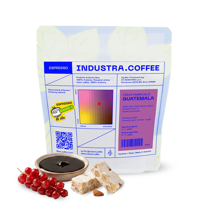 Specialty coffee Industra Coffee Guatemala FINCA PAMPOJILÁ