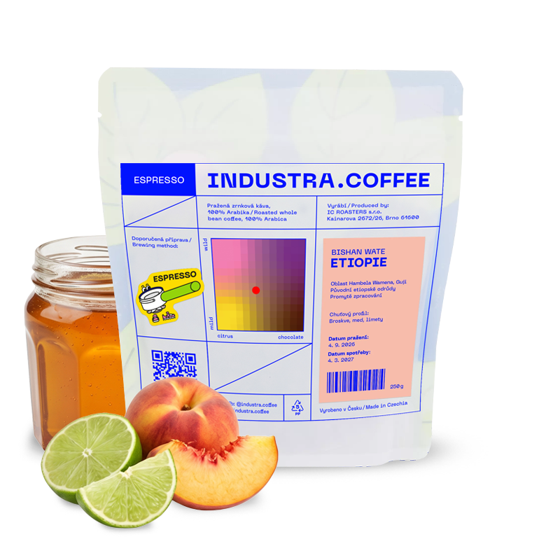 Specialty coffee Industra Coffee Ethiopia BISHAN WATE 