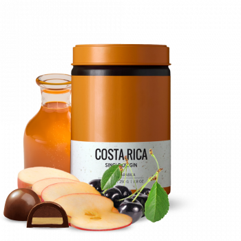 Costa Rica VILLA SARCHI - Herz Coffee Roasters