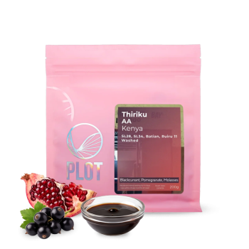Kenya THIRIKU AA – 200 g - PLOT roasting