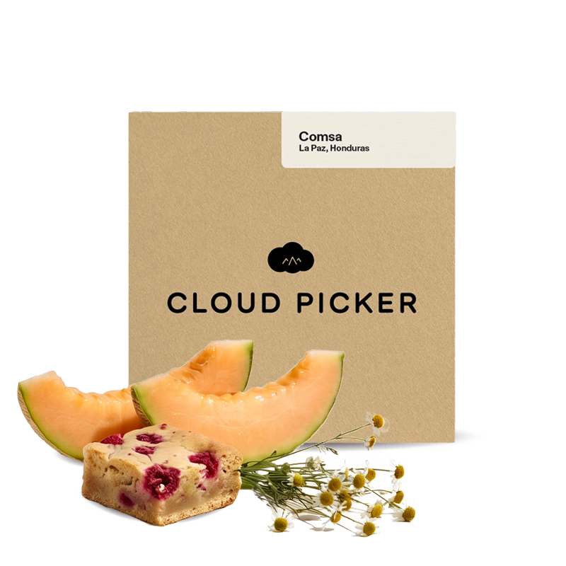 Specialty coffee Cloud Picker Coffee Honduras COMSA – 1000 g