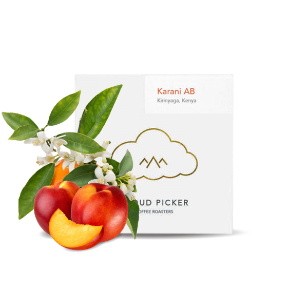 Specialty coffee Cloud Picker Coffee Kenya KARANI AB