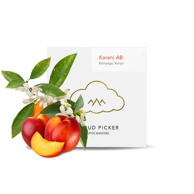 Specialty coffee Cloud Picker Coffee Kenya KARANI AB