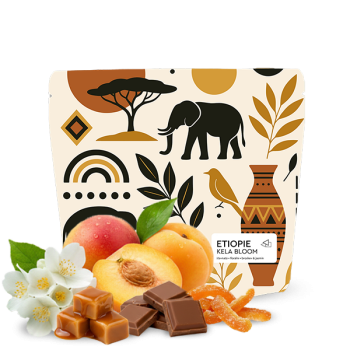 Ethiopia KELA BLOOM - Jedno Kafe
