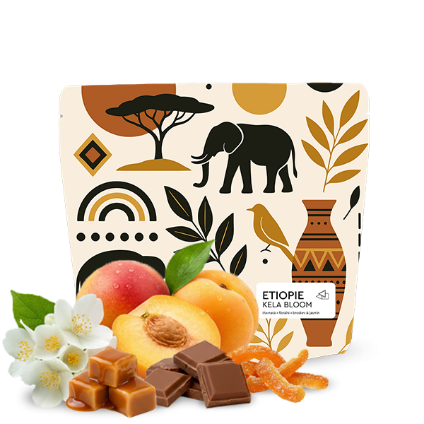 Specialty coffee Jedno Kafe Ethiopia KELA BLOOM