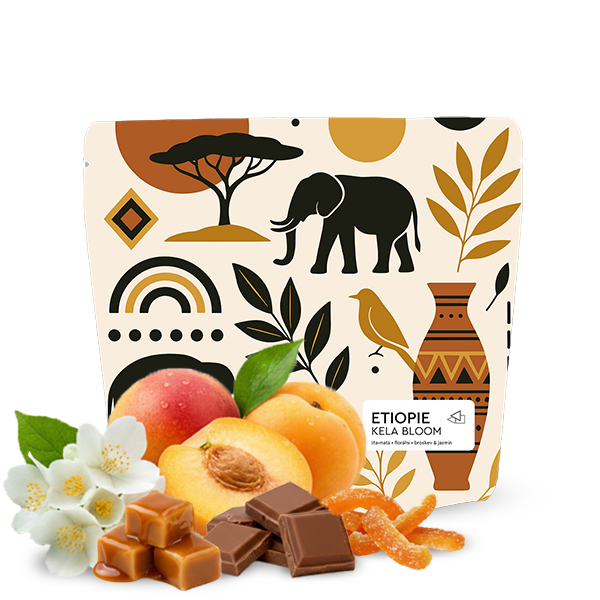 Specialty coffee Jedno Kafe Ethiopia KELA BLOOM