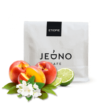 Etiopie - Biftu Gudina - Jedno Kafe