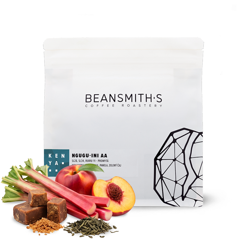 Specialty coffee Beansmith.s Kenya NGUGU-INI AA