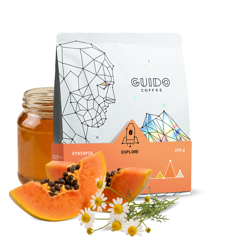 Specialty coffee Guido Coffee Ethiopia IDIDO
