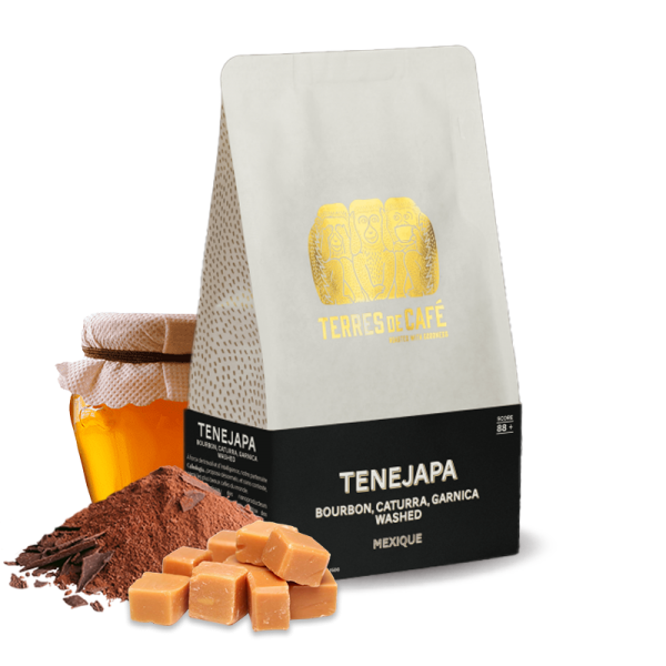 Specialty coffee Terres de café Mexico TENEJAPA