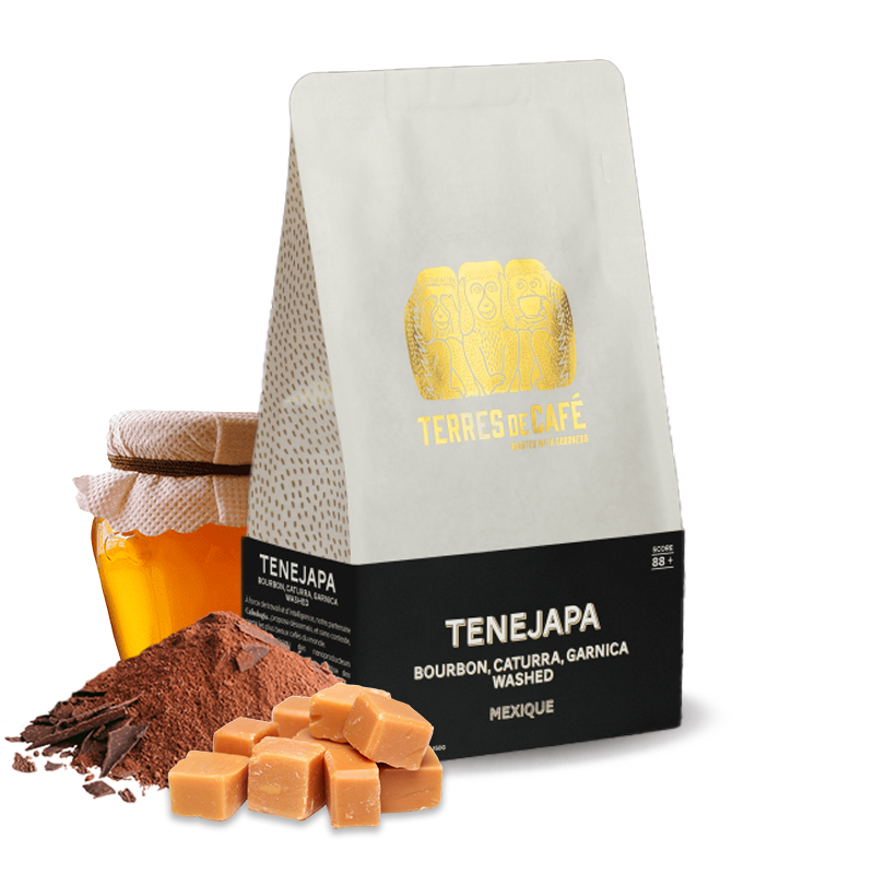 Specialty coffee Terres de café Mexico TENEJAPA