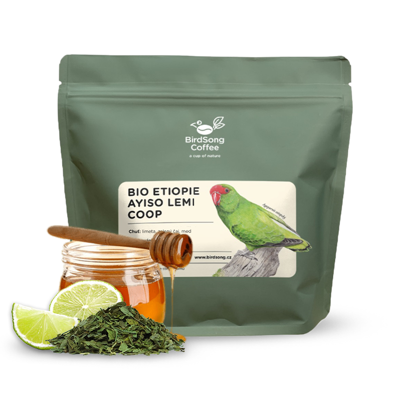Specialty coffee BirdSong Coffee Ethiopia AYISO LEMI COOP