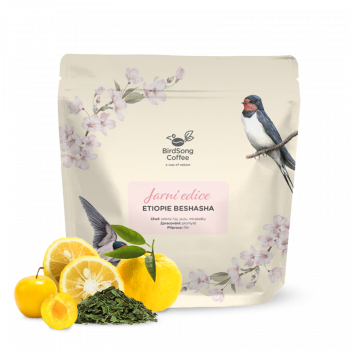 Ethiopia BESHASHA BIO - spring edition - BirdSong Coffee