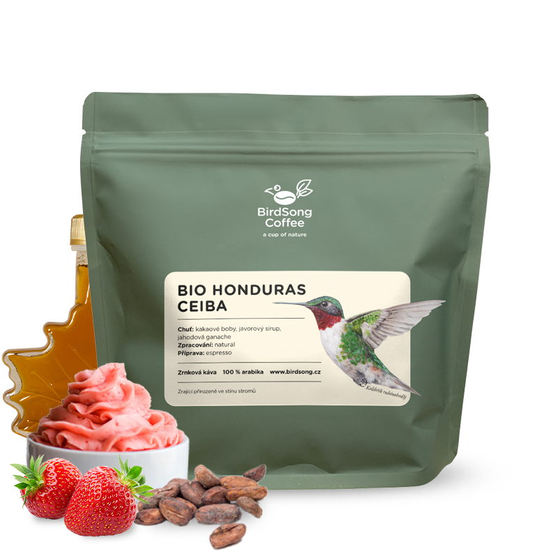Specialty coffee BirdSong Coffee Honduras CEIBA