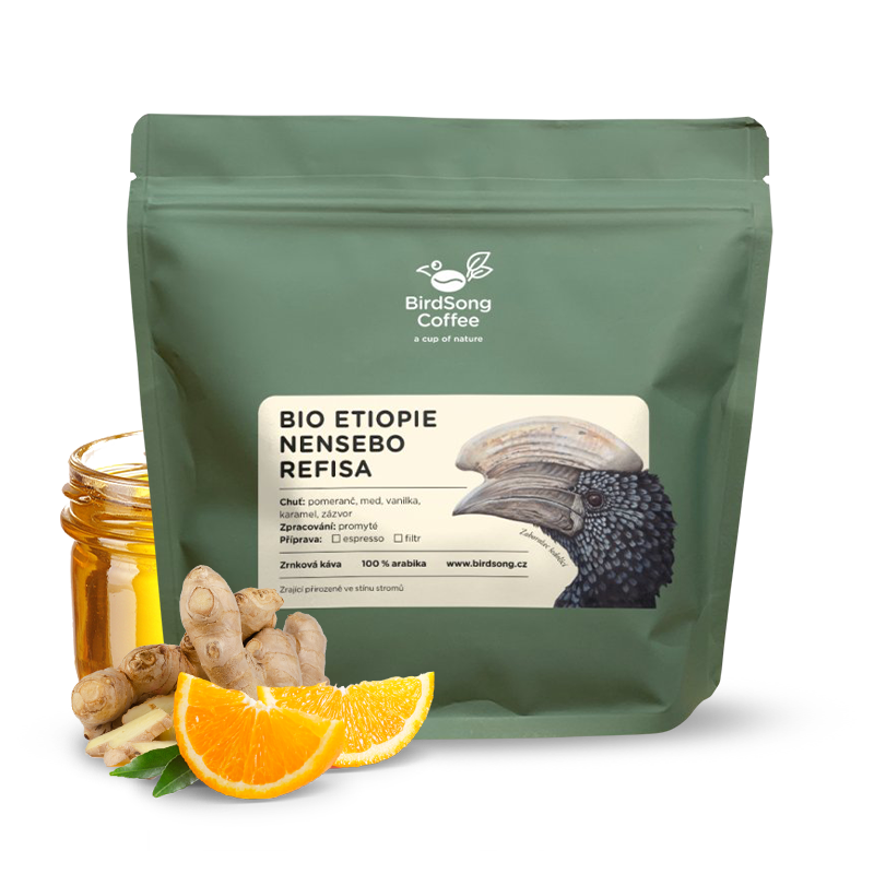 Specialty coffee BirdSong Coffee Ethiopia NENSEBO REFISA