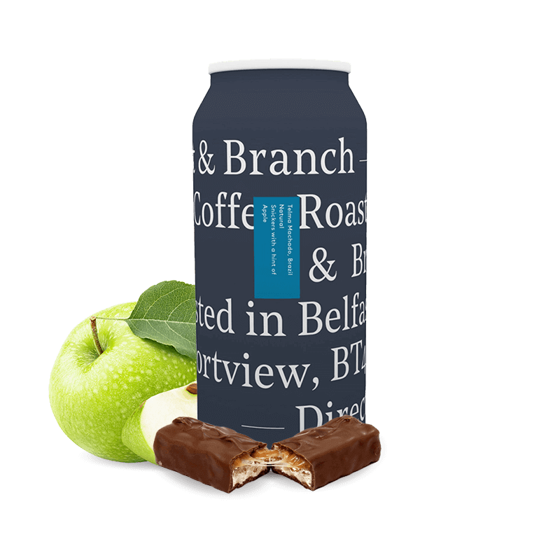 Specialty coffee Root & Branch Coffee Brazil TELMA MACHADO