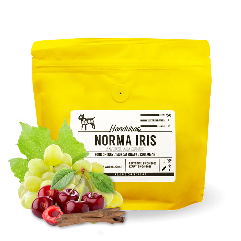 Specialty coffee The Underdog Honduras - Norma Iris