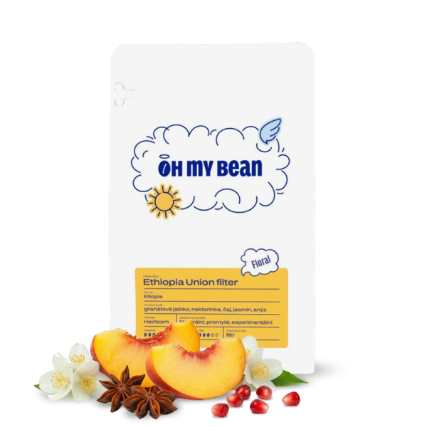 Specialty coffee Oh My Bean Roastery Ethiopia UNION FILTER
