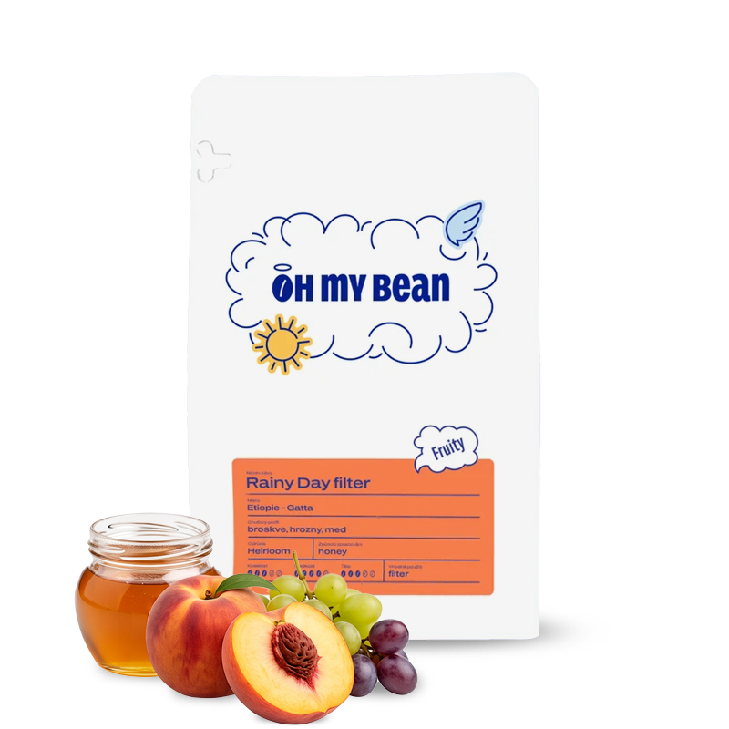 Specialty coffee Oh My Bean Roastery Ethiopia GATTA - RAINY DAY FILTER
