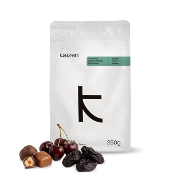 Costa Rica: Vista al Chirripo - Kaizen Coffee Roasters