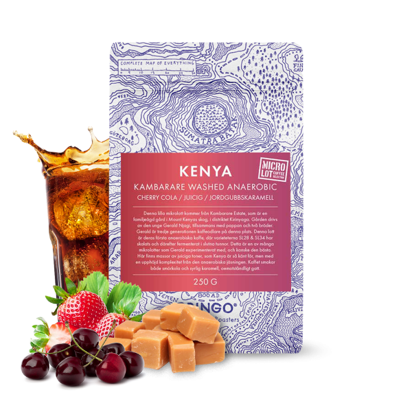 Specialty coffee Gringo Nordic Kenya KAMBARARE