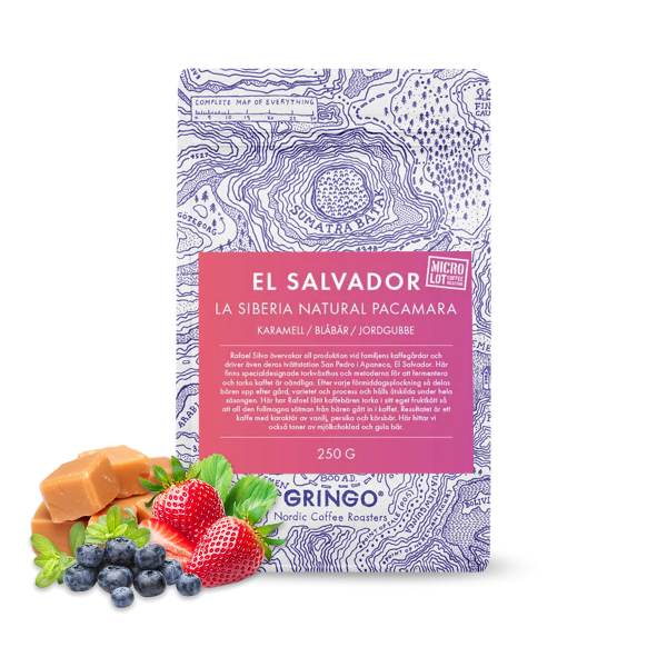 Specialty coffee Gringo Nordic El Salvador LA SIBERIA PACAMARA - natural
