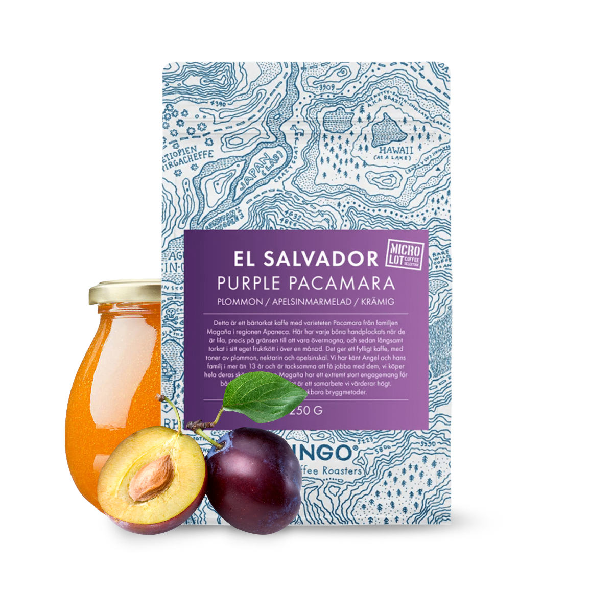 Specialty coffee Gringo Nordic El Salvador PURPLE PACAMARA 04/23