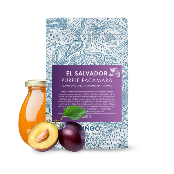 Specialty coffee Gringo Nordic El Salvador PURPLE PACAMARA 04/23