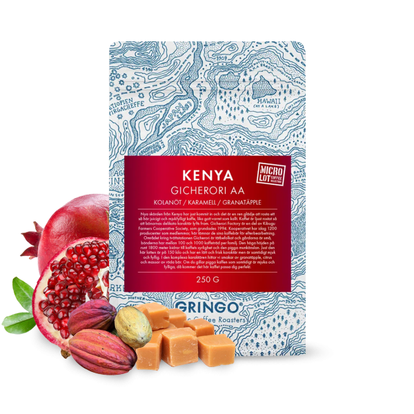 Specialty coffee Gringo Nordic Kenya GICHERORI AA