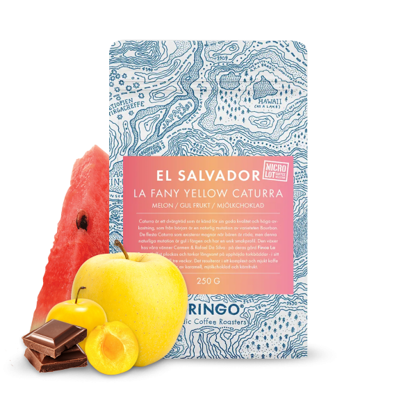Specialty coffee Gringo Nordic El Salvador LA FANS