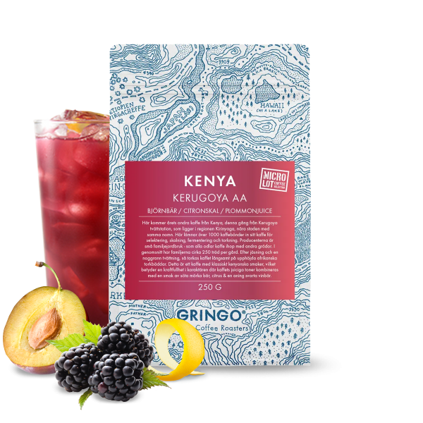 Specialty coffee Gringo Nordic Kenya KERUGOYA AA