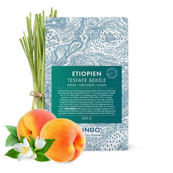Specialty coffee Gringo Nordic Ethiopia TESFAYE BEKELE