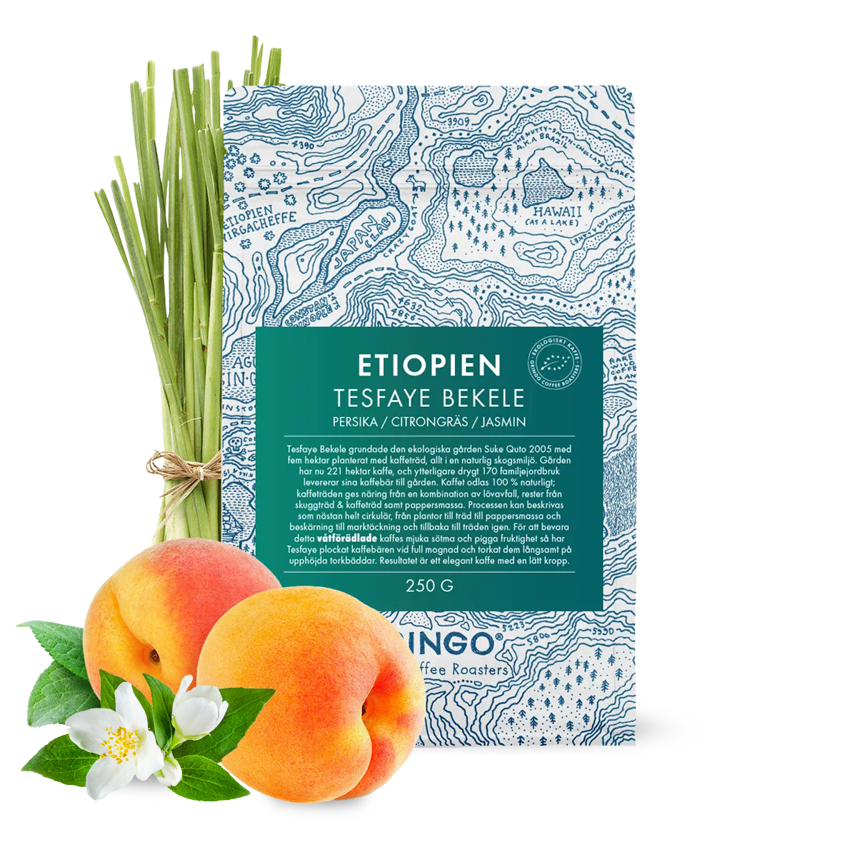 Specialty coffee Gringo Nordic Ethiopia TESFAYE BEKELE