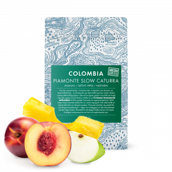 Colombia PIAMONTE SLOW CATURRA - Gringo Nordic