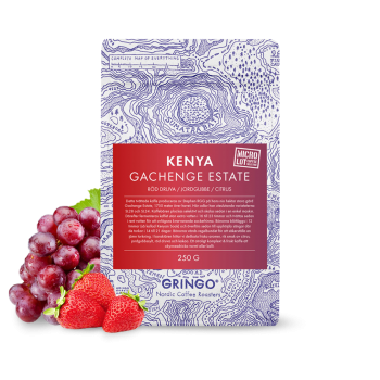 Kenya GACHENGE AA - Gringo Nordic